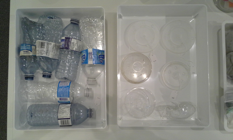 Unnatural History Collection, plastic water bottles + cup lids