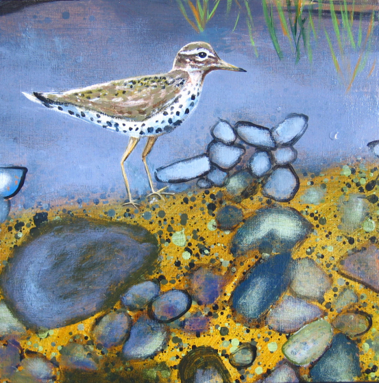 Up the Creek - detail (sandpiper)