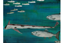 salmon_migration.jpg