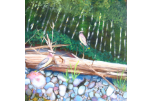 utc_panel_23_-_waxwings.jpg