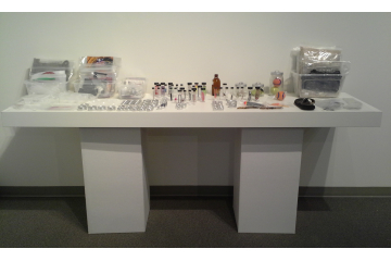 Unnatural History Collection, small objects