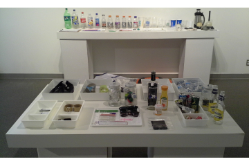 Unnatural History Collection, wide view