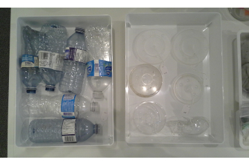 Unnatural History Collection, plastic water bottles + cup lids