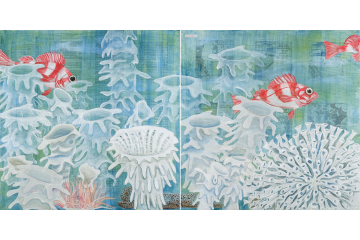 Wolf Eel in Glass Sponge Reef