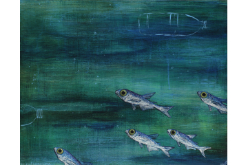 Big-eyed Lanternfish