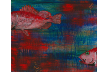 Black-throated Rockfish