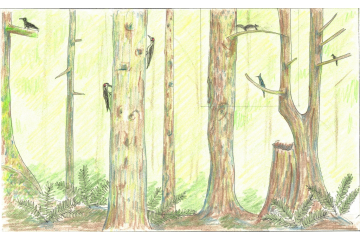 Concept drawing - East wall