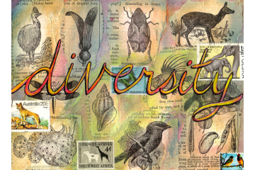 Word to Live By: Diversity