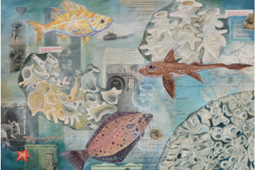 Glass Sea Sponge Reef