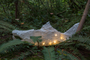 Salmon lantern floating on a fern