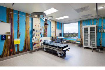 BC Children's Hospital mural - Installation view
