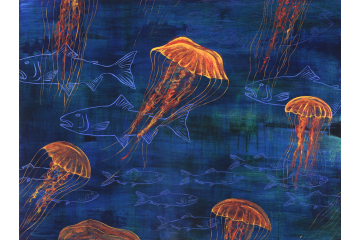 Jellies and Fish