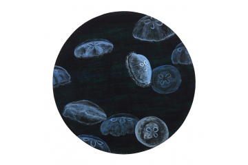 Moon Jellies