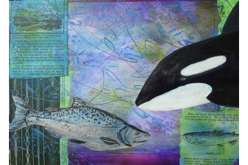 Orca
