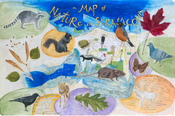 A Map of Nature in Strathcona