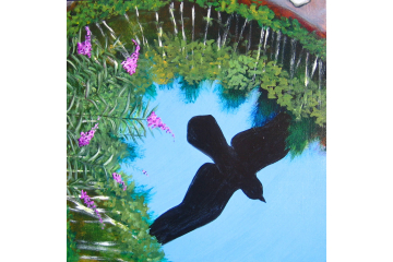 Up the Creek - detail (raven)