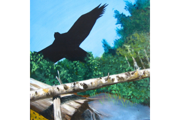 Up the Creek - detail (hawk)