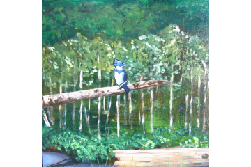Up the Creek - detail (kingfisher)
