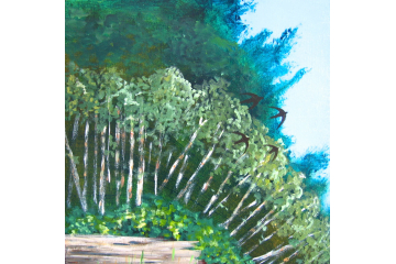 Up the Creek - detail (swifts)