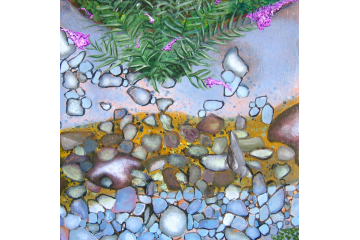 Up the Creek - detail (dipper)