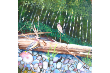 Up the Creek - detail (waxwings)