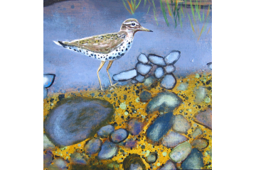 Up the Creek - detail (sandpiper)