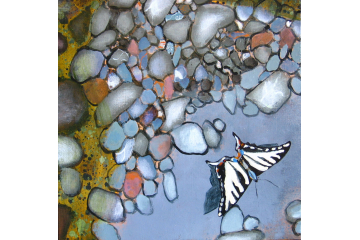 Up the Creek - detail (swallowtail)