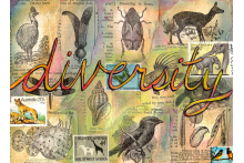 diversity_100dpi.jpg