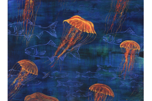 jellyfish.jpg